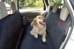 la housse de protection pour banquette arrière protégera votre auto des salissures et poils de chien incrustés.