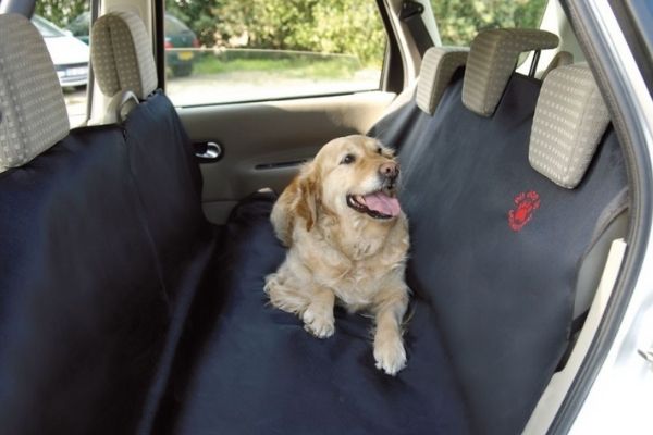 Siège de voiture portable pour chien, coussin de protection de