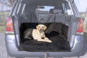 Si vous possédez un break ou un SUV, la capacité de votre coffre pourra accueillir votre chien et il faudra donc penser à le protéger avec cette protection coffre spécifique.